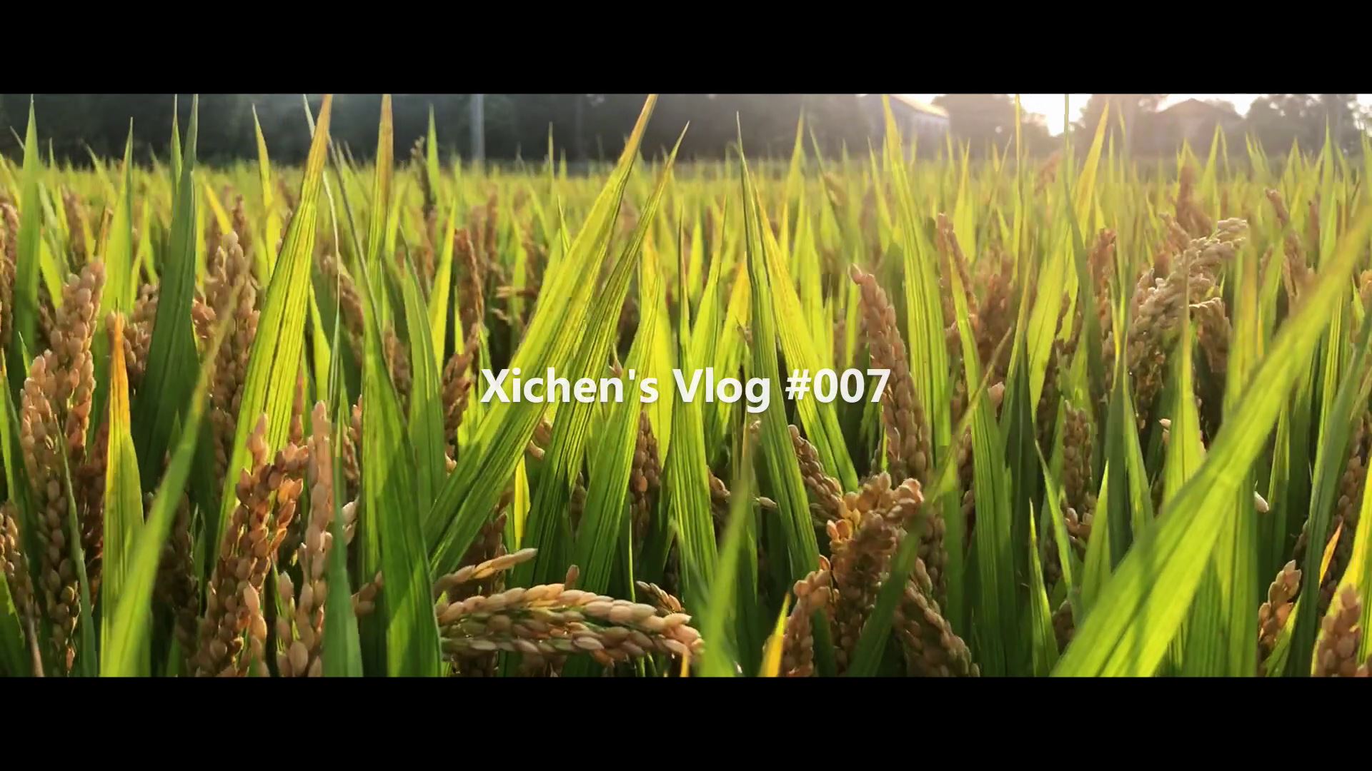 Xichen Vlog 007 Cover